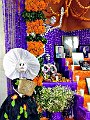 IMG_20181030_090259