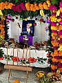 IMG_20181030_085909