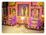 DSC02482