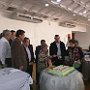 IMG_20160211_165233