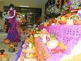 DSCN3648