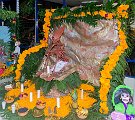 IMG_3644