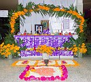 IMG_3647