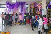 IMG_ (6)