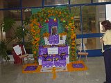 DSC00596