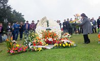 MG_5017 (17)